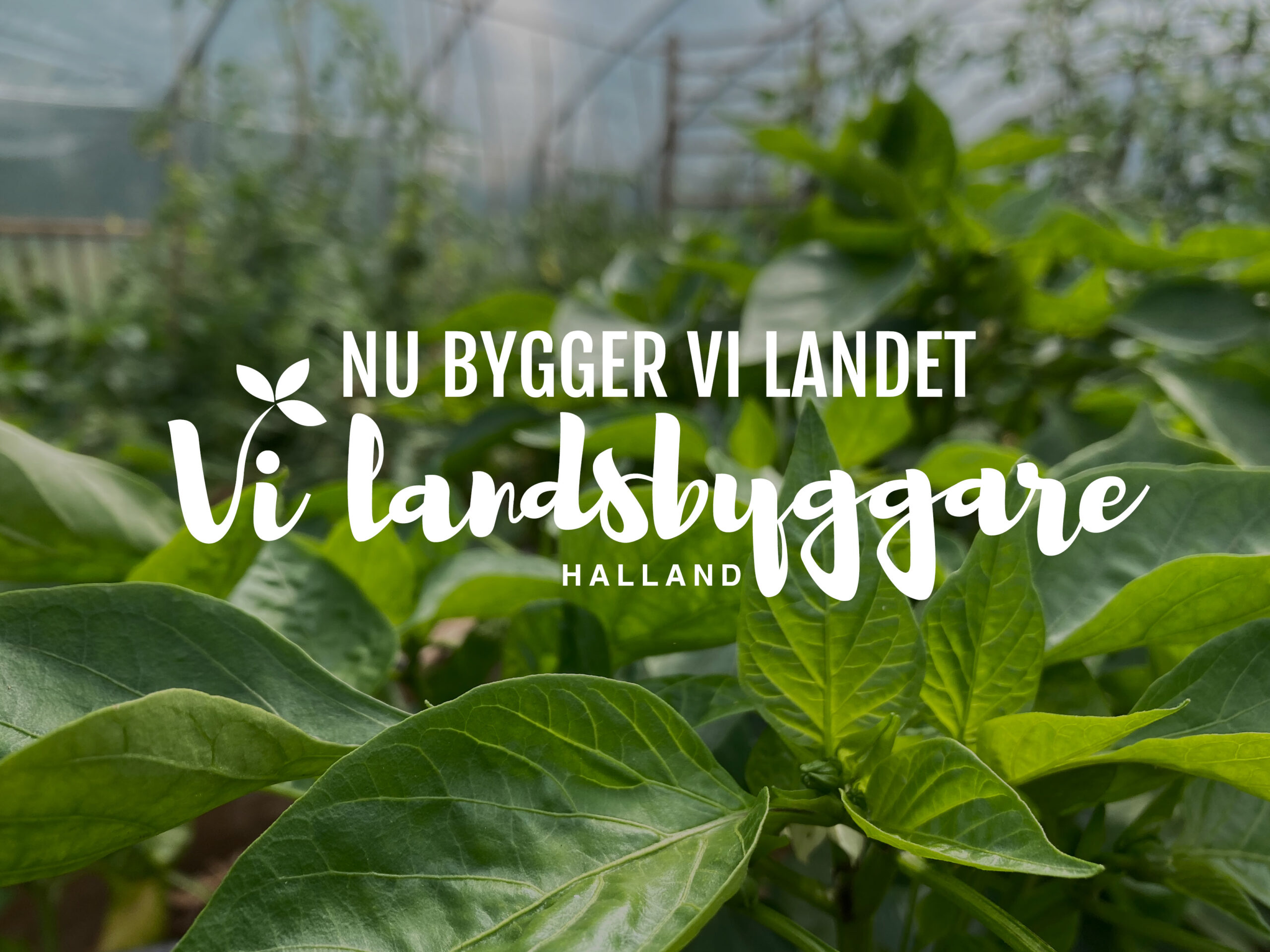 nu bygger vi landet- push1