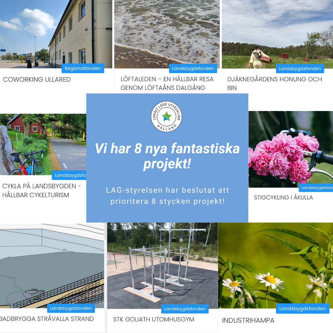 Lokalt Ledd Utvecklings 8 nya projekt