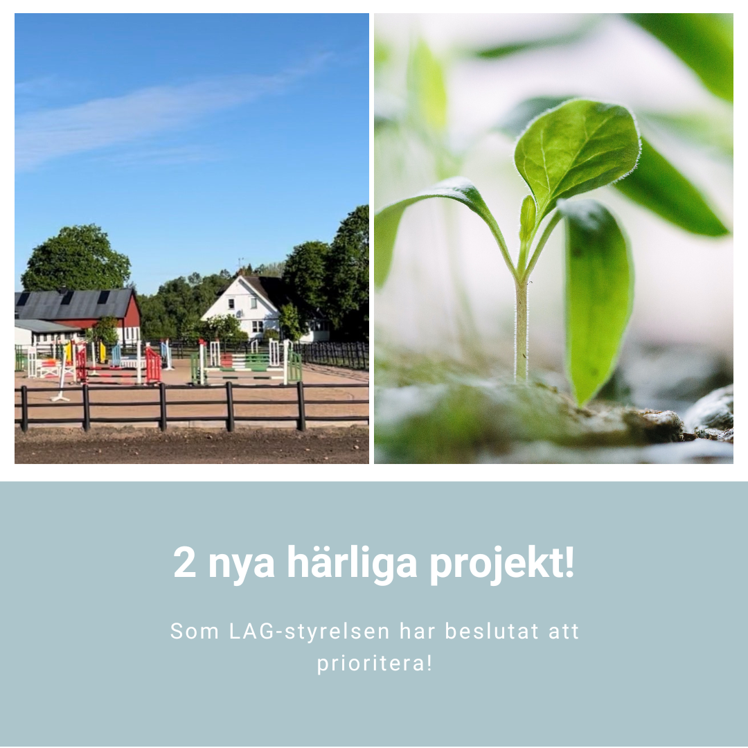 Nya projekt 2022 juni