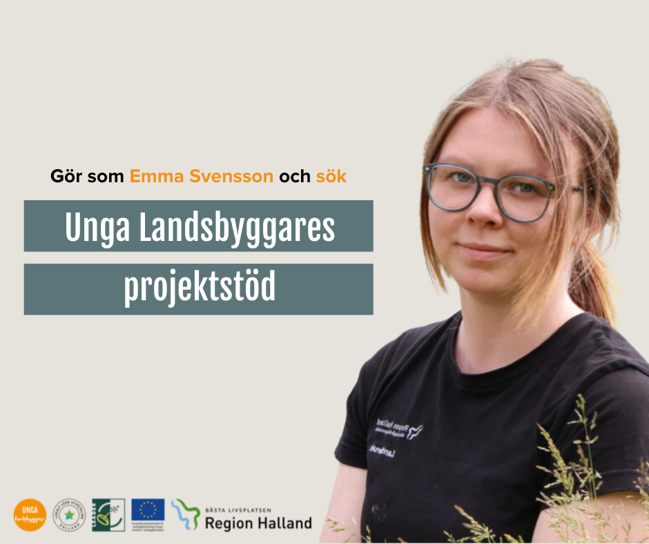 Unga Landsbyggares projektstöd