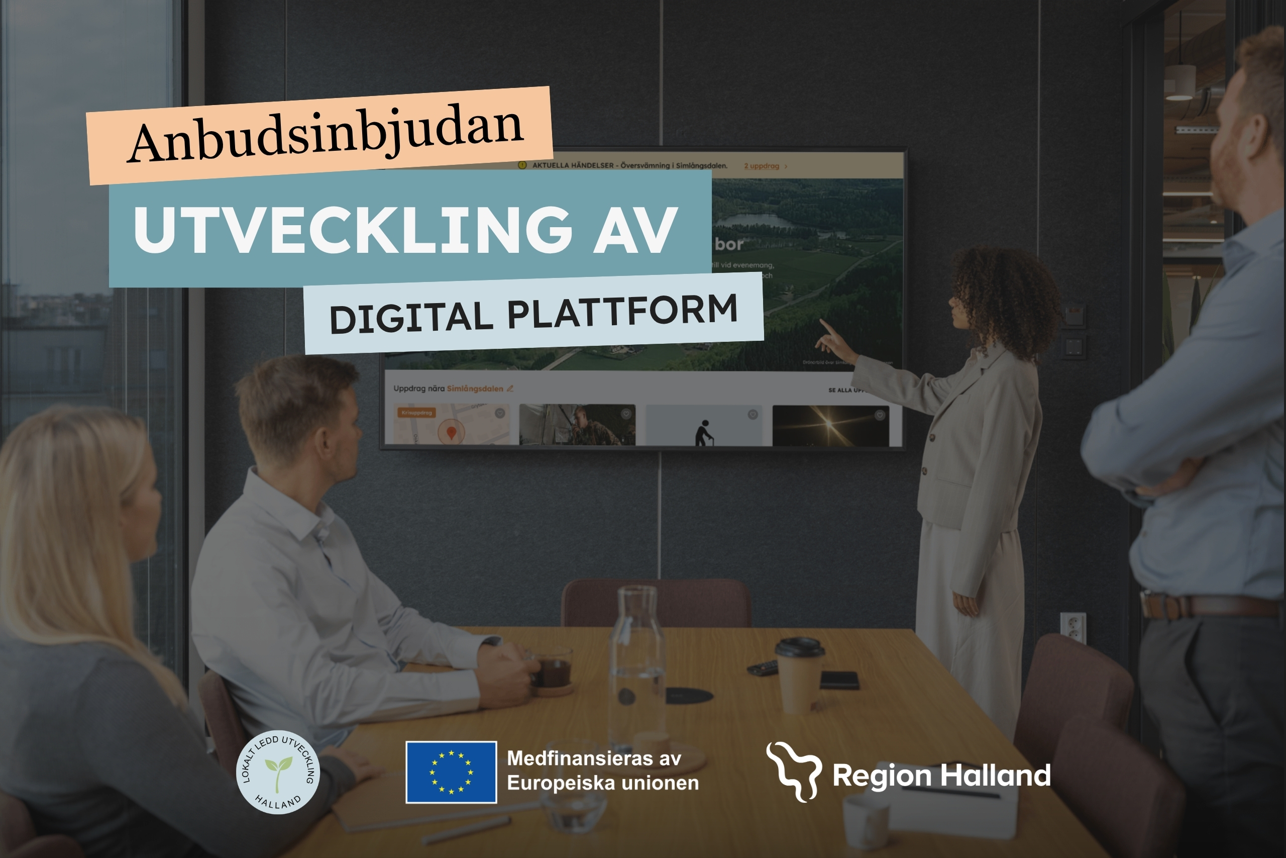 anbudsinbjudan-volontarpool