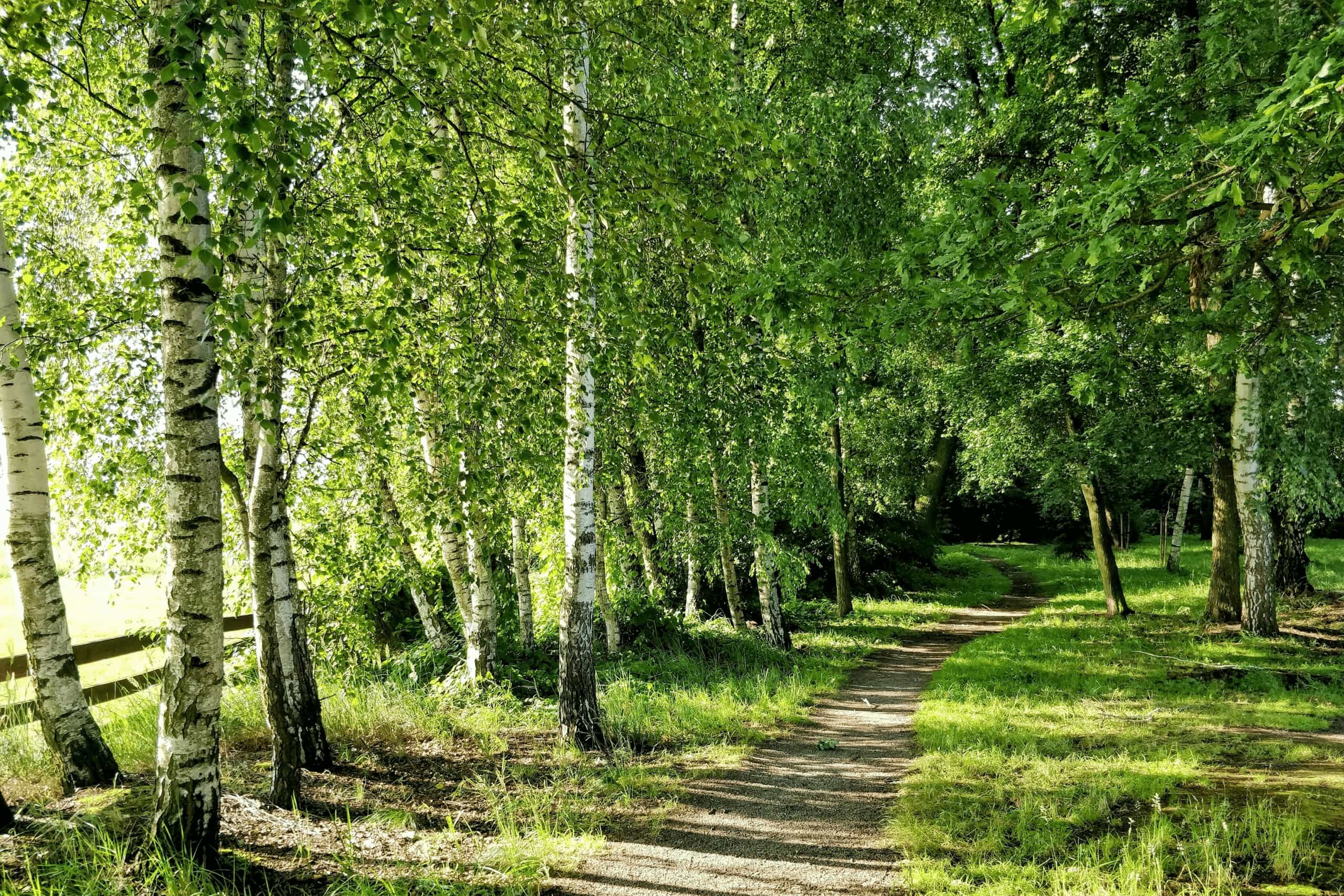 Namnlös design (18)